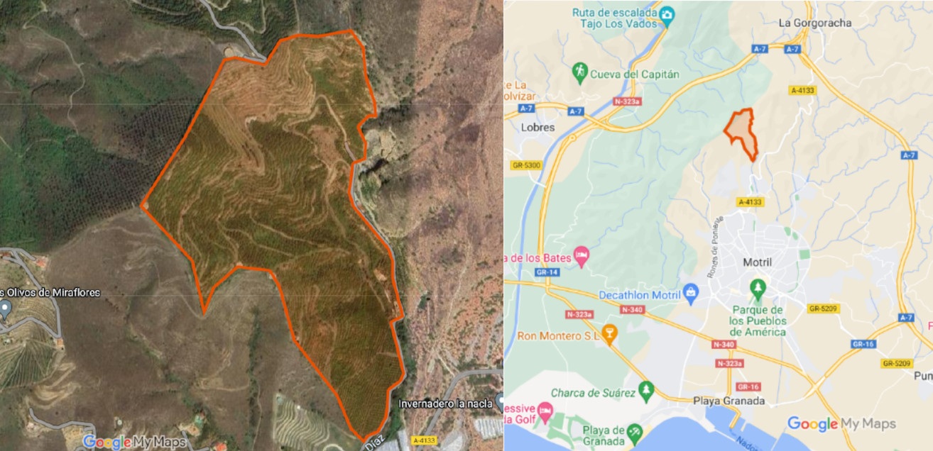 Cultivos Extensivos de Cereales